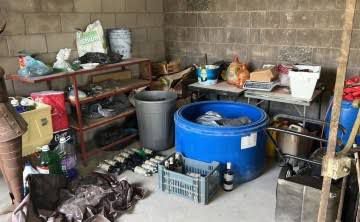 Aseguran casi 100 explosivos y granadas en Teocaltiche, Jalisco
