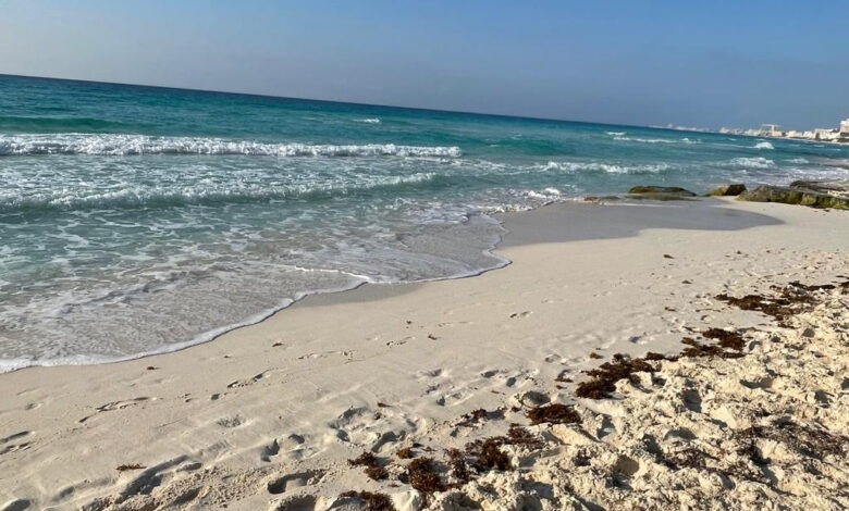 Playas de Cancún libres de sargazo